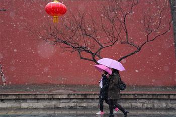 北京迎來春雪