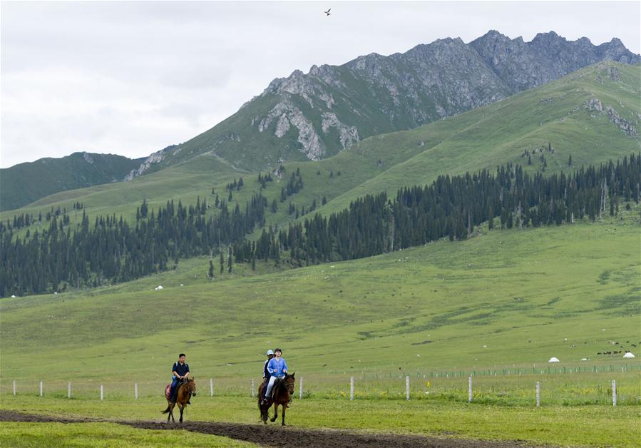 （经济）（1）新疆：马背上的“生态致富路”