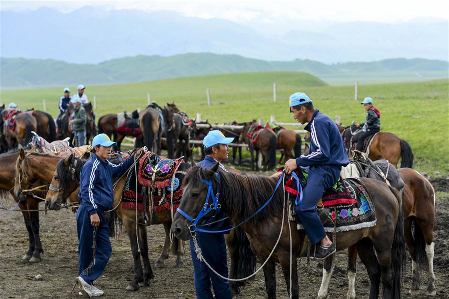 （经济）（3）新疆：马背上的“生态致富路”