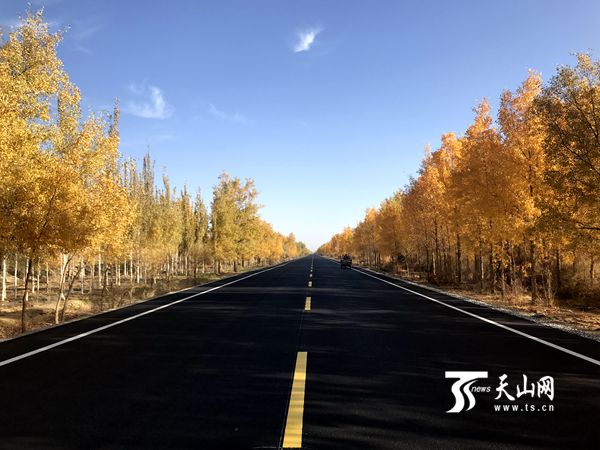 前往且末县塔提让胡杨林的路途风景.