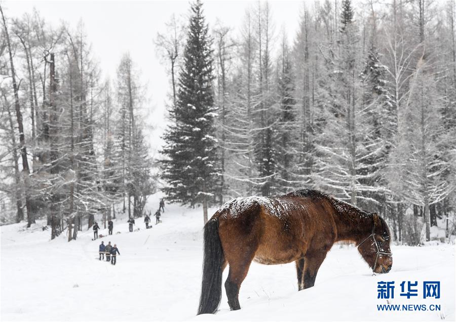 （体育）（3）全民健身——新疆9位牧民开启300公里古老毛皮滑雪之旅