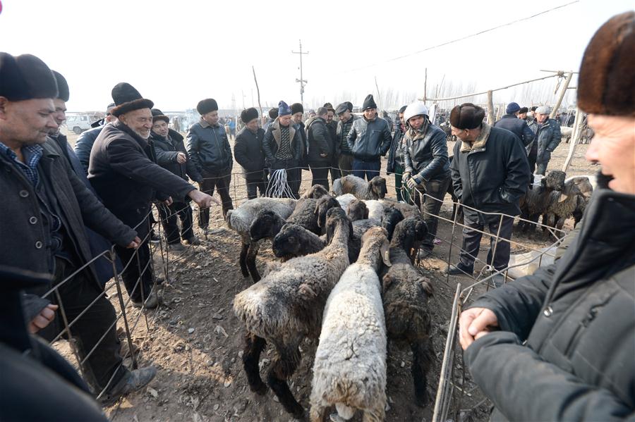 （社会）（1）新疆喀什：冬日火热的“牛羊巴扎”