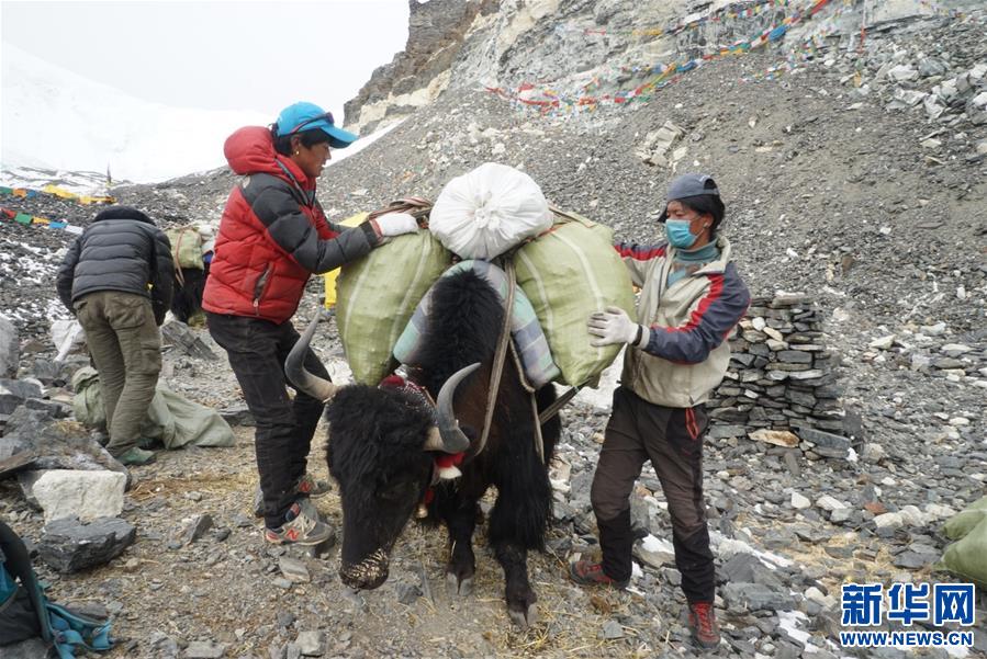 （体育）（5）践行环保，西藏登山客在行动（配本社同题文字稿）