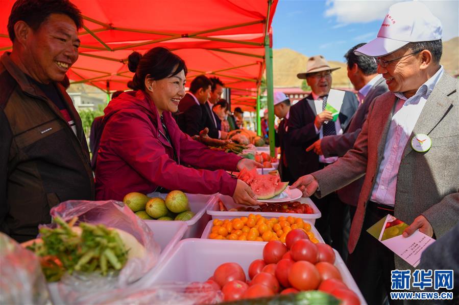 （经济）（1）西藏白朗“田园超市”迎来采摘季