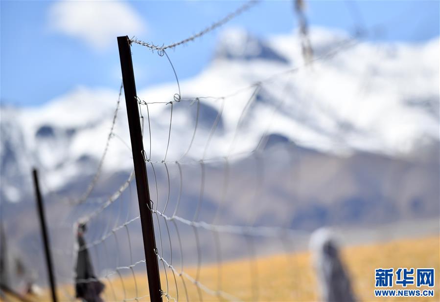 （图文互动）（3）西藏羌塘国家级自然保护区启动网围栏拆除工作