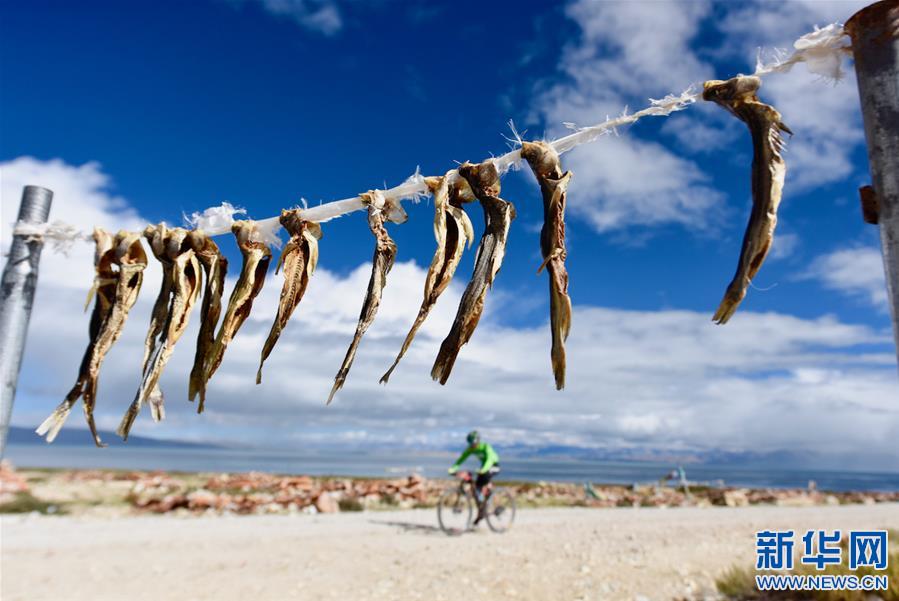 （体育·图文互动）（11）中国海拔最高环湖自行车越野赛在西藏阿里举行（配本社同题文字稿）