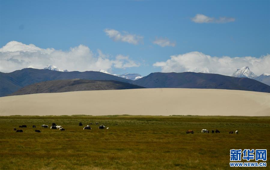 （生态）（6）西藏：雅江源头沙化治理成效显著