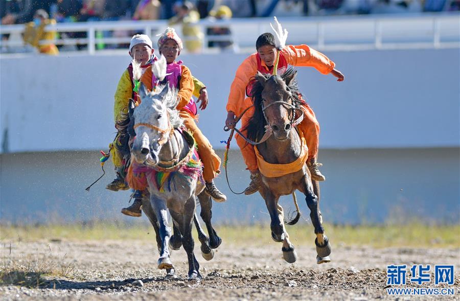 （體育）（5）西藏那曲：駿馬馳騁賽馬場