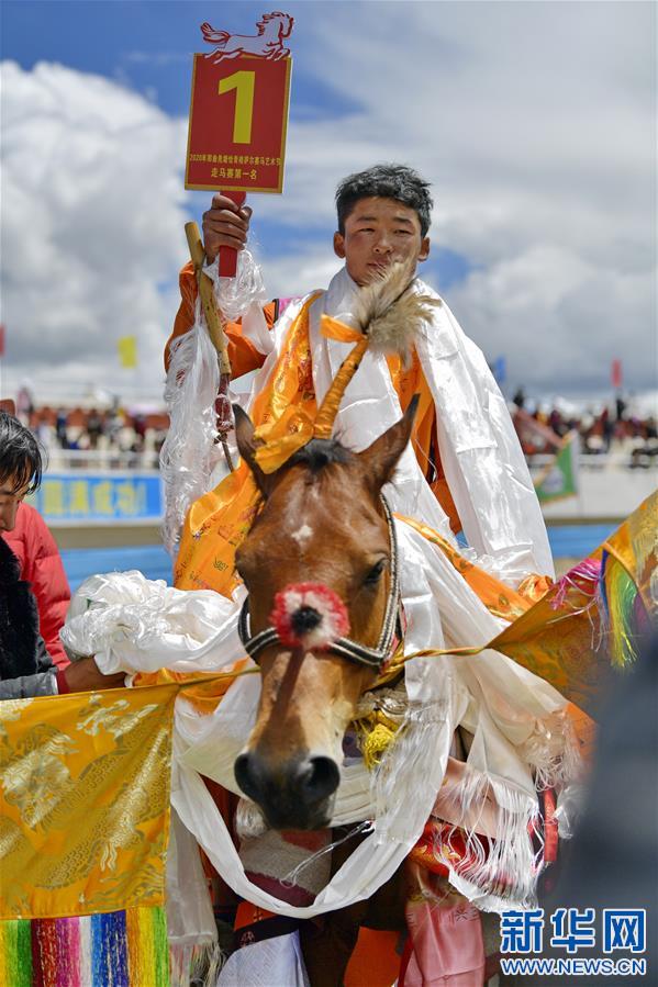 （體育）（5）藏北高原上演走馬賽
