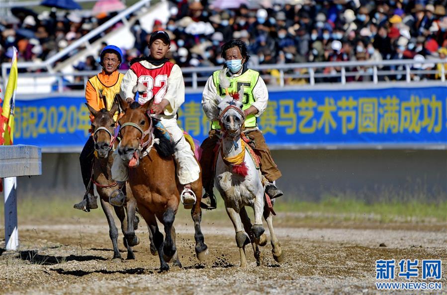（體育）（10）藏北高原上演走馬賽