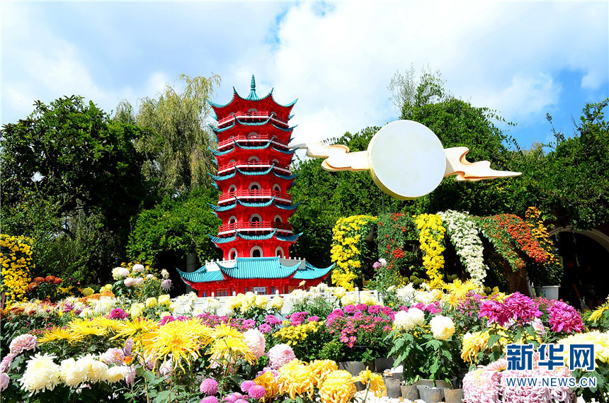 昆明大观公园菊花展正在举行,图为公园营造的赏菊小景.