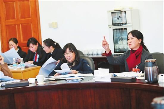 政协委员分组讨论两院报告