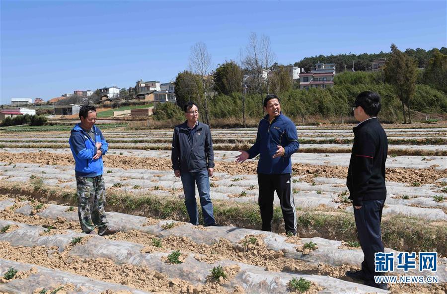 刘家喜(右二)到七星镇鲁古村与村民赵正权(左一)商议种植业创收事宜