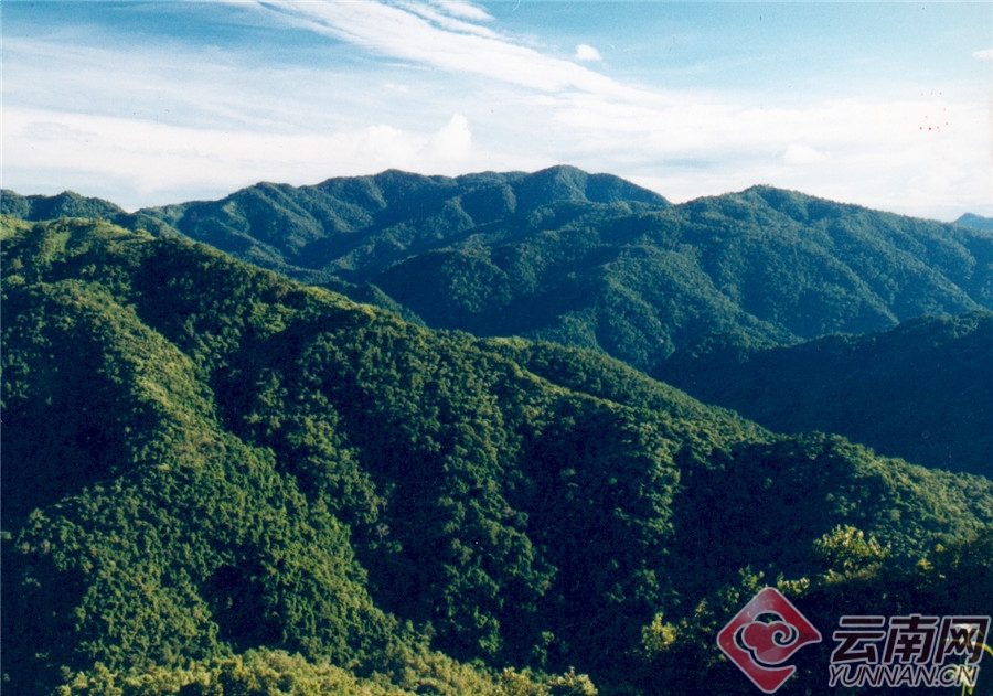 绿春黄连山风景 云南黄连山国家级自然保护区管护局,绿春县融媒体中心